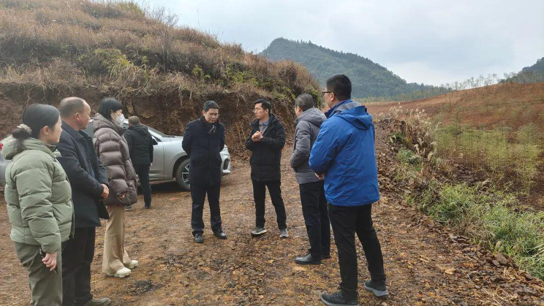 图片6.png 图片6.png