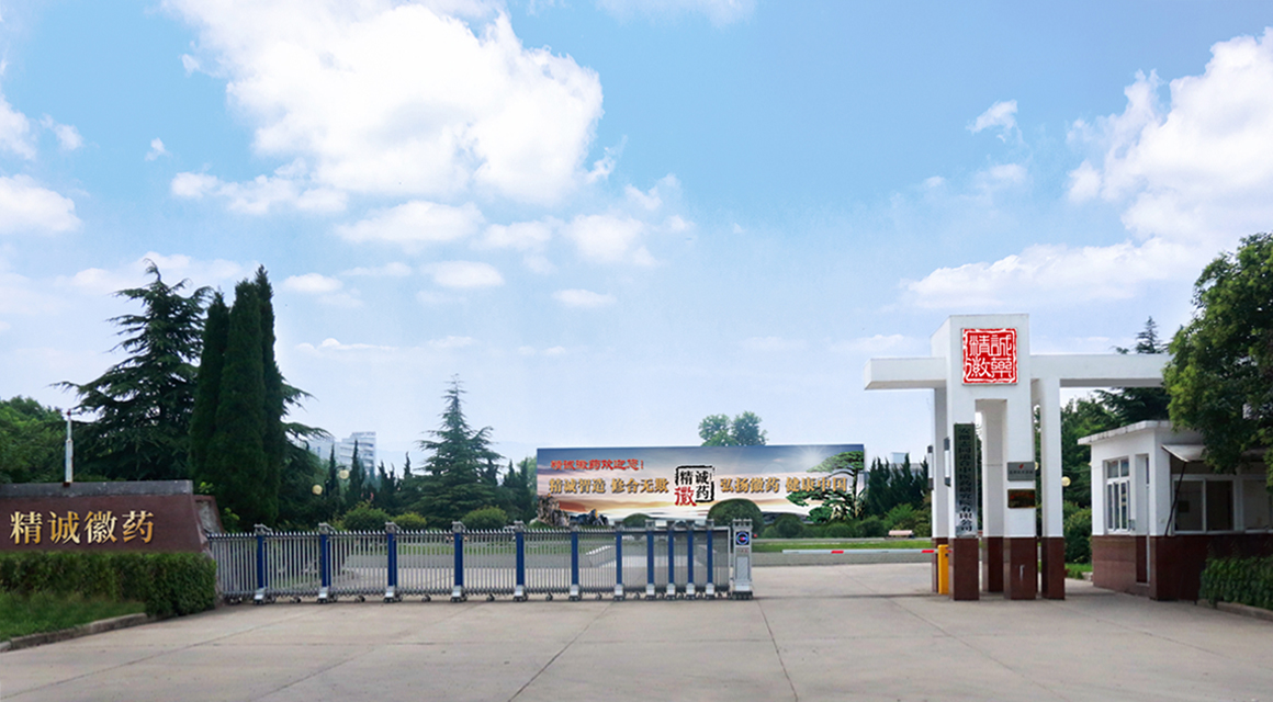 精诚徽药 定图 精诚徽药 定图.jpg